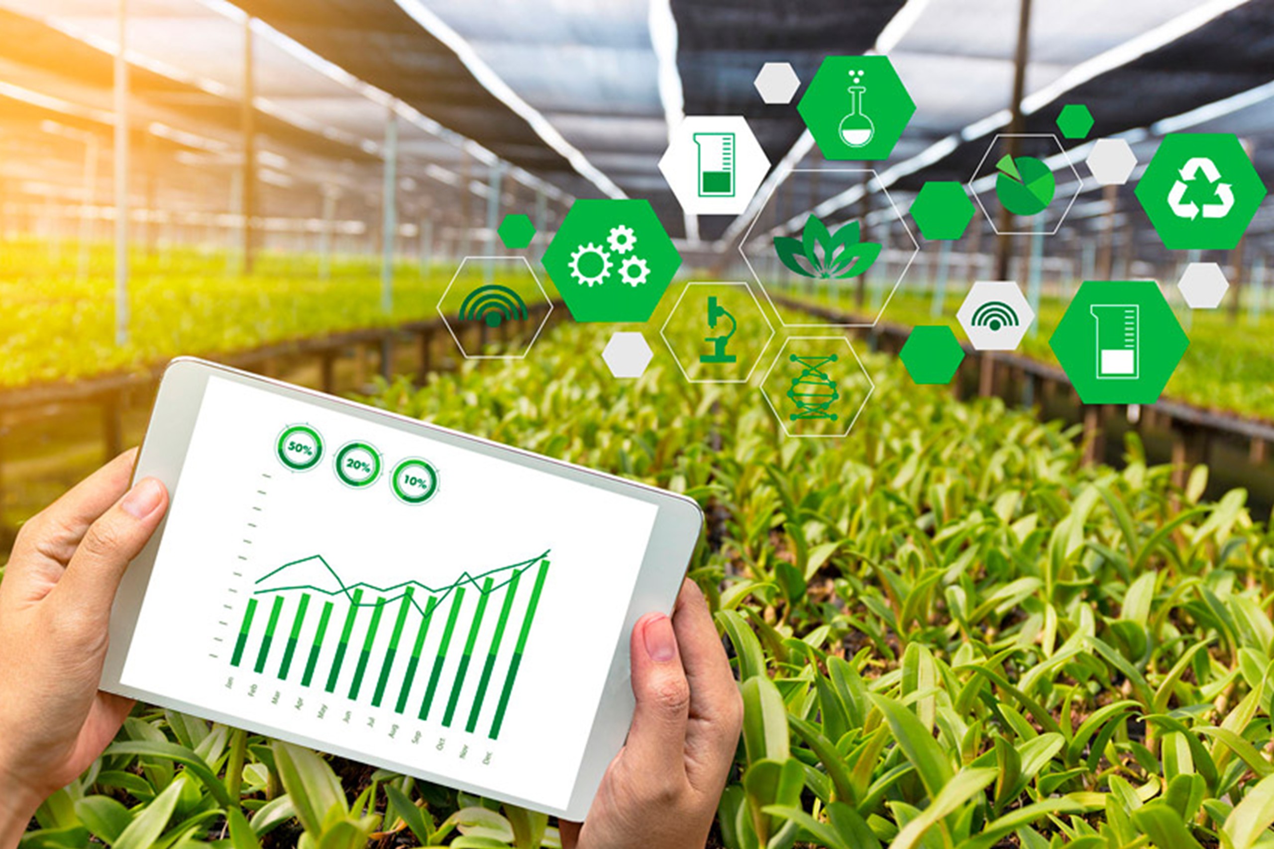 Anuncio de contratación de consultoría para el desarrollo del servicio de atención empresarial “MIPYME en Línea”, acompañamiento y asistencia técnica, dirigido a empresas con enfoque de acceso a mercados nacionales en Panamá.”